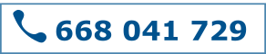668 041 729